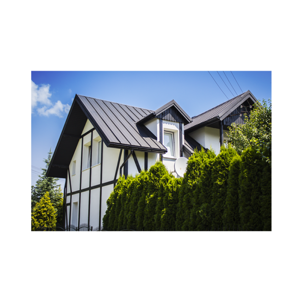 Ret-click Panel Singular - imagine 11