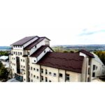 ROMAIKO Tablă tip țiglă Mat 0,50 mm - imagine 2