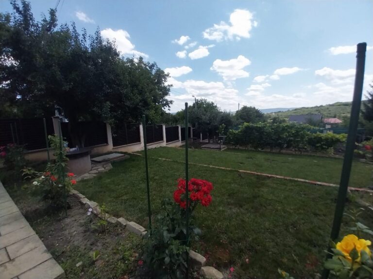 Gard metalic ștacheţi Terra